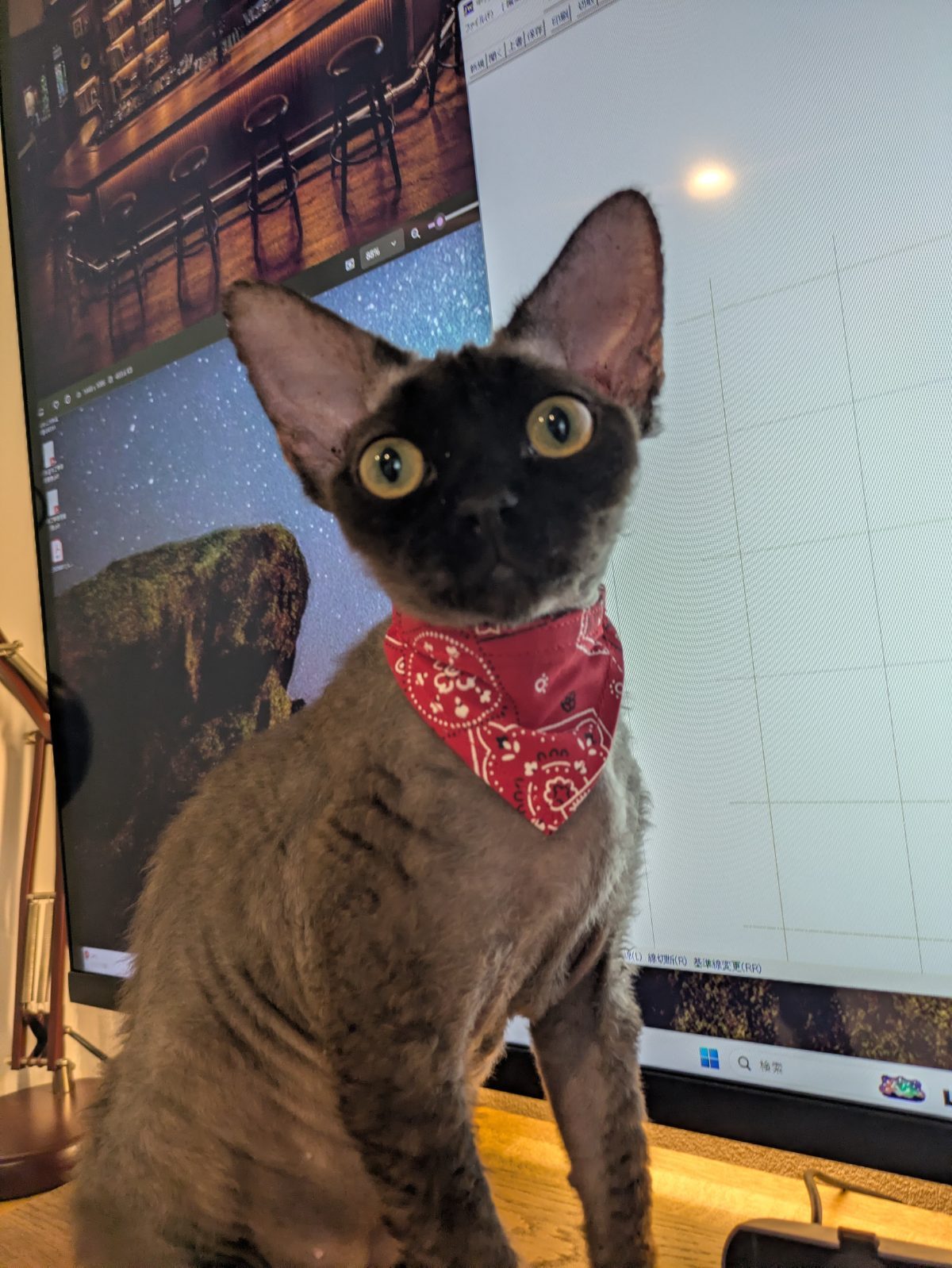 猫型ロボット
